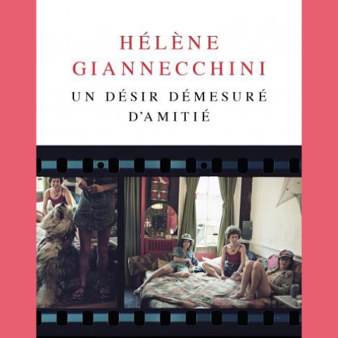 Un désir démesuré d'amitié - Hélène Giannecchini