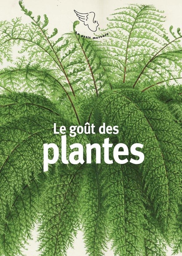 Le goût des plantes - Frédéric Obringer