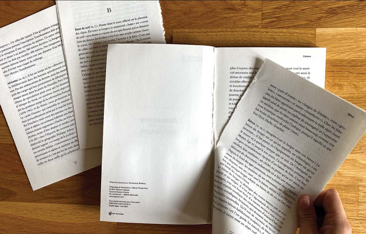 Lecture en arpentage - Banquet du livre d'été 2026