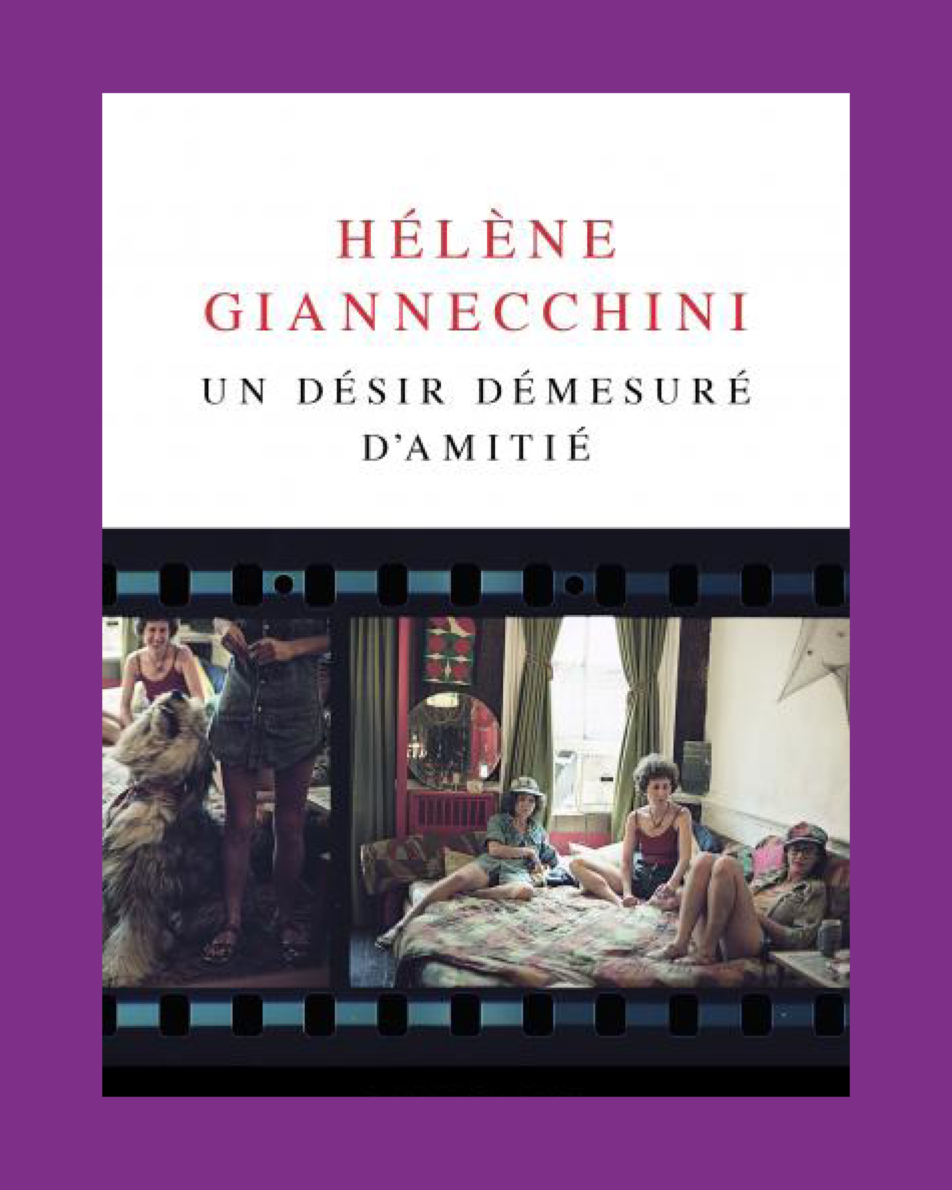 Un désir démesuré d'amitié - Hélène Giannecchini