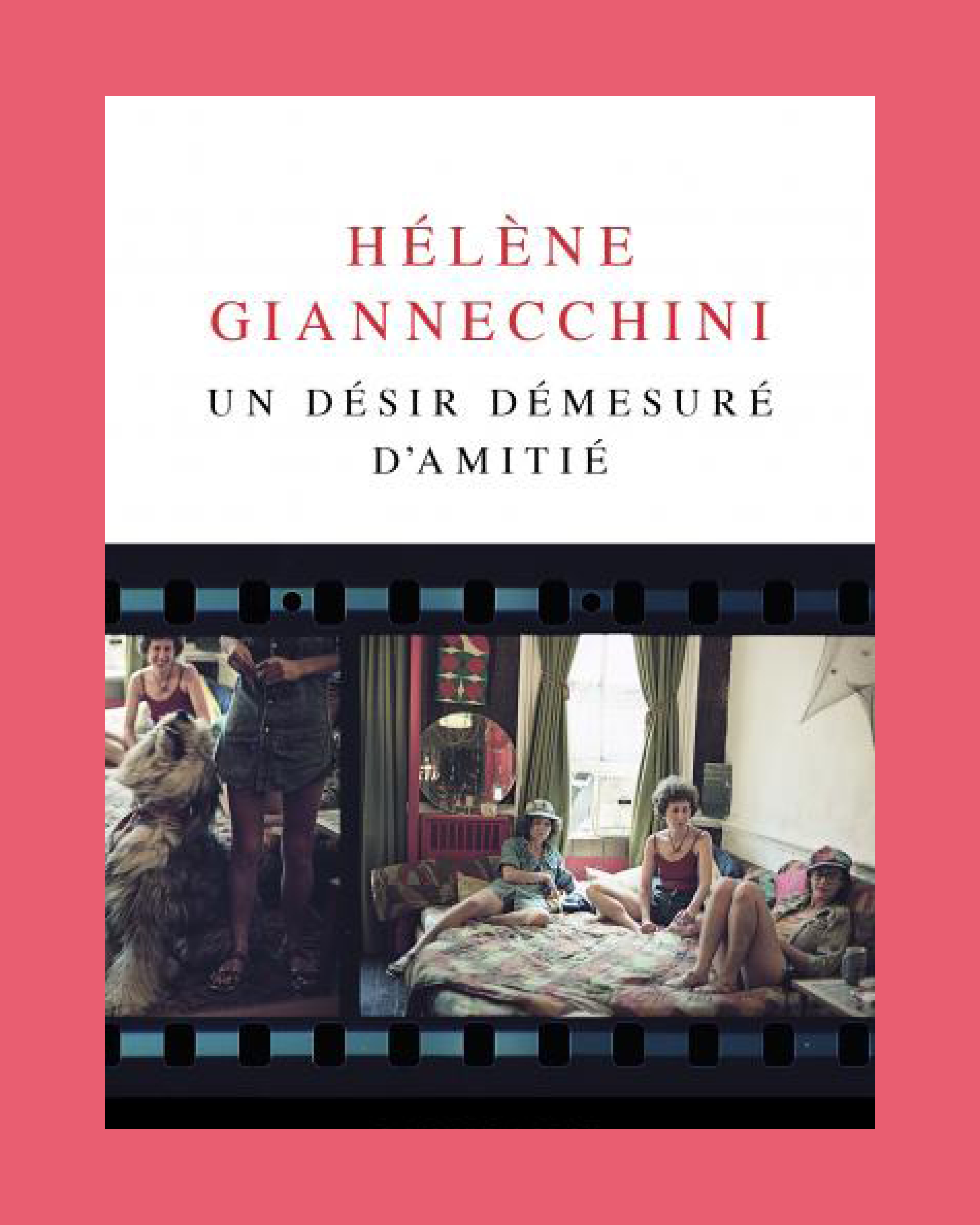 Un désir démesuré d'amitié - Hélène Giannecchini