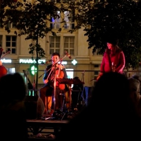Les petits crins sauvages © MICHEL PHOTOZANGE