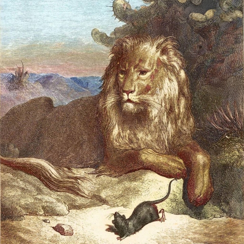 Café philo - Andrea Cavazzini 