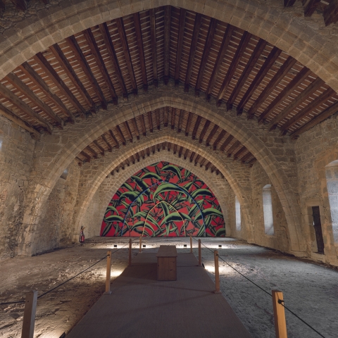 Dortoir abbaye de Lagrasse © Idriss Bigou-Gilles