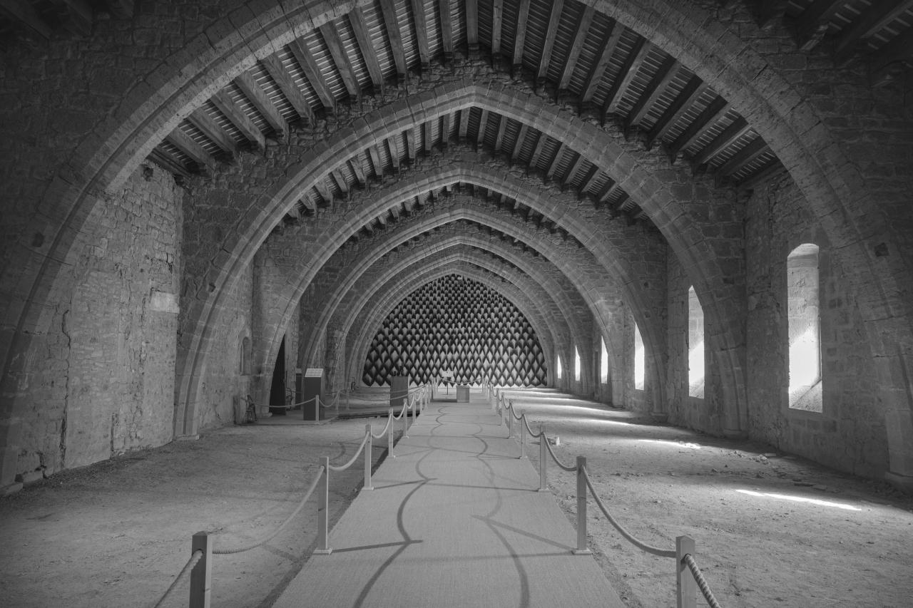 Cellier de l'abbaye - Histoire et architecture de l'abbaye de Lagrasse - Idriss Bigou-Gilles